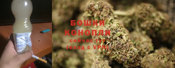 мяу мяу мука Бородино