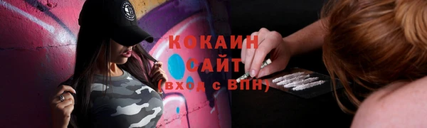 мяу мяу мука Бородино