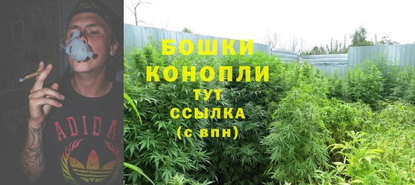 мяу мяу мука Бородино