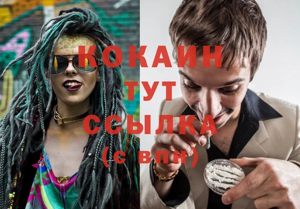 соль курить ск Богданович