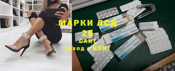 мяу мяу мука Бородино