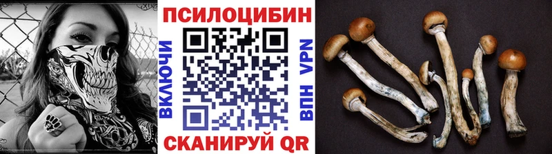 Купить  Амурск  Галлюциногенные грибы мицелий 