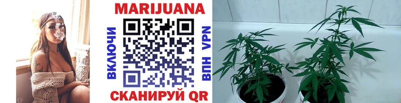 Купить закладки  Амурск  Канабис LSD WEED 